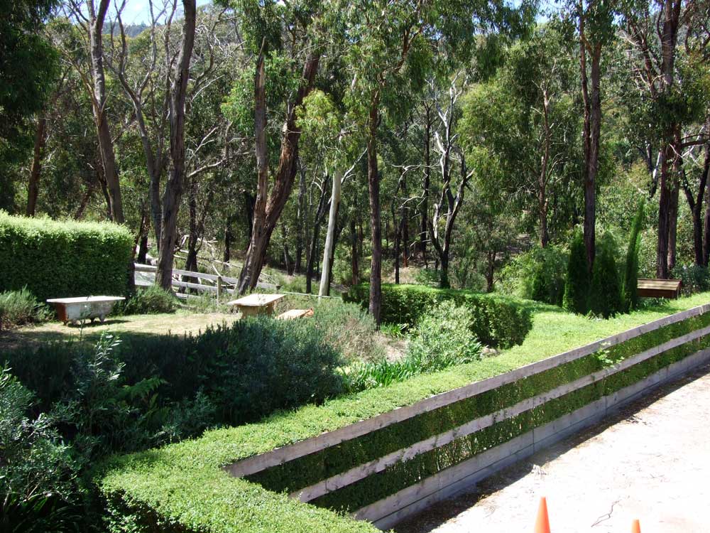 Yarra Valley landscape