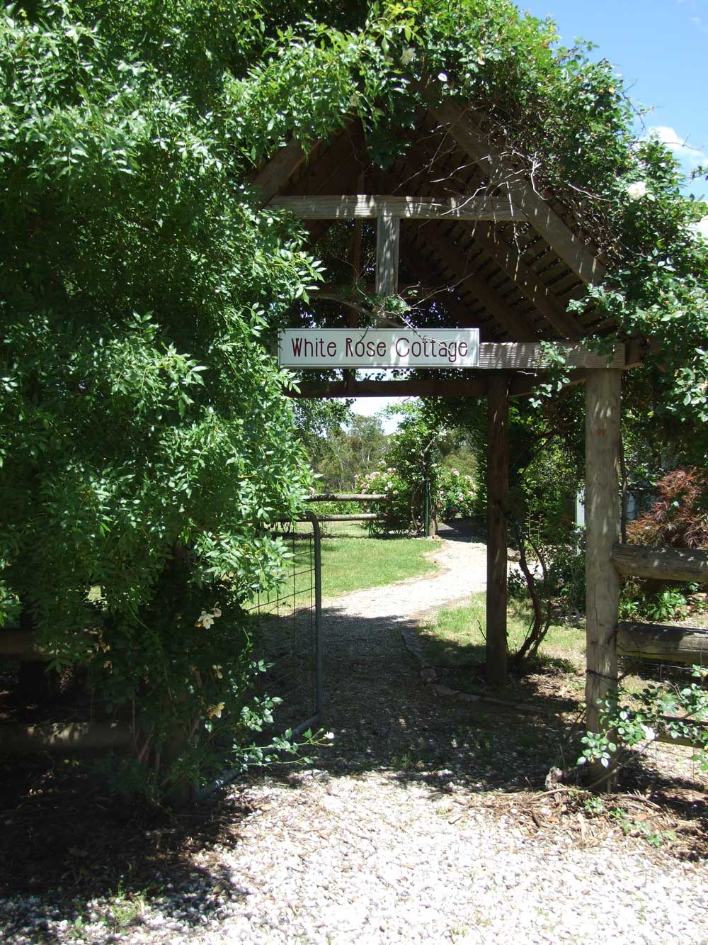 Forest at the back of the farm