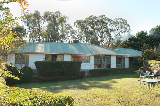 The White House across the lawn, framed by old eucalyptus