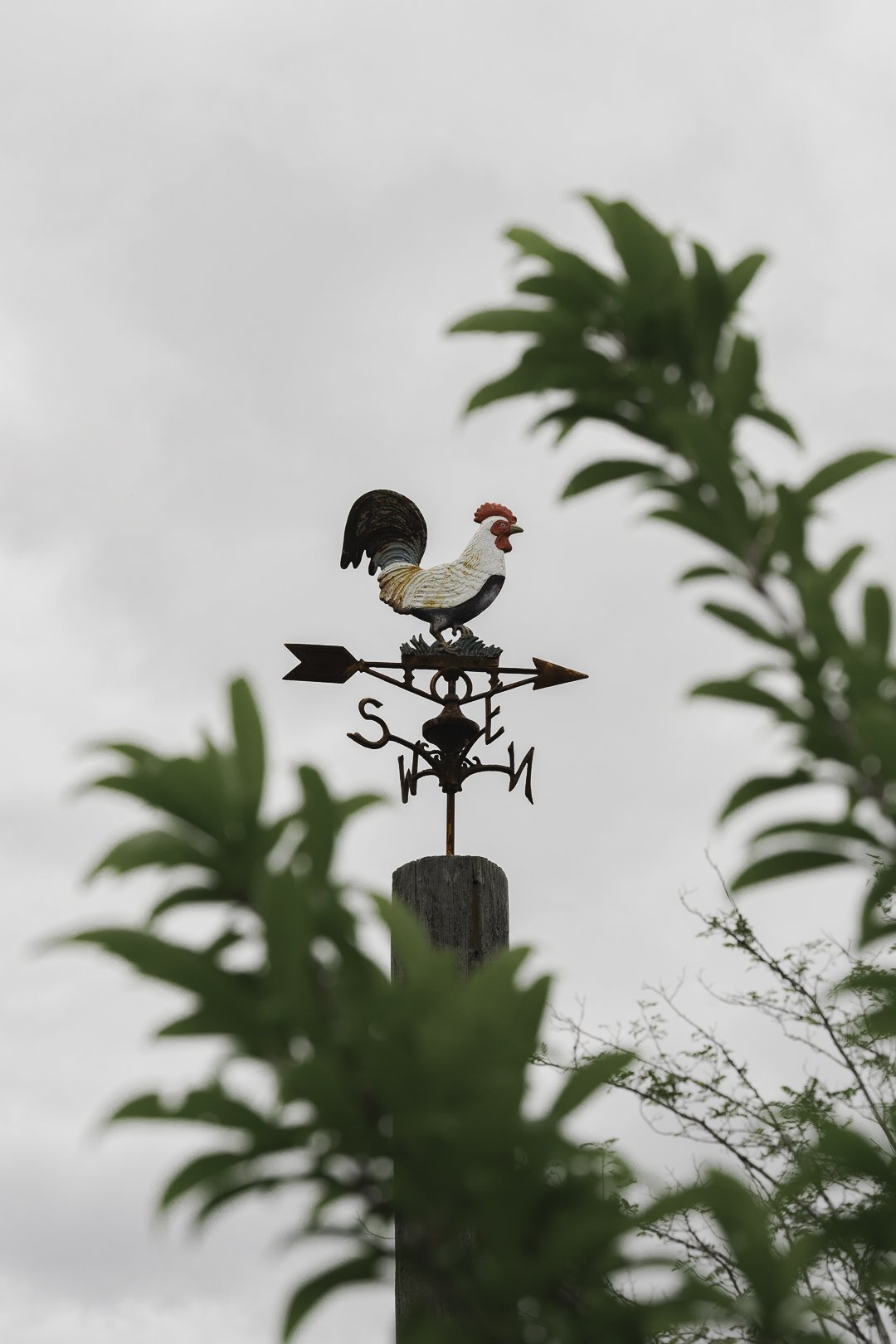 The weathervane against a winter sky