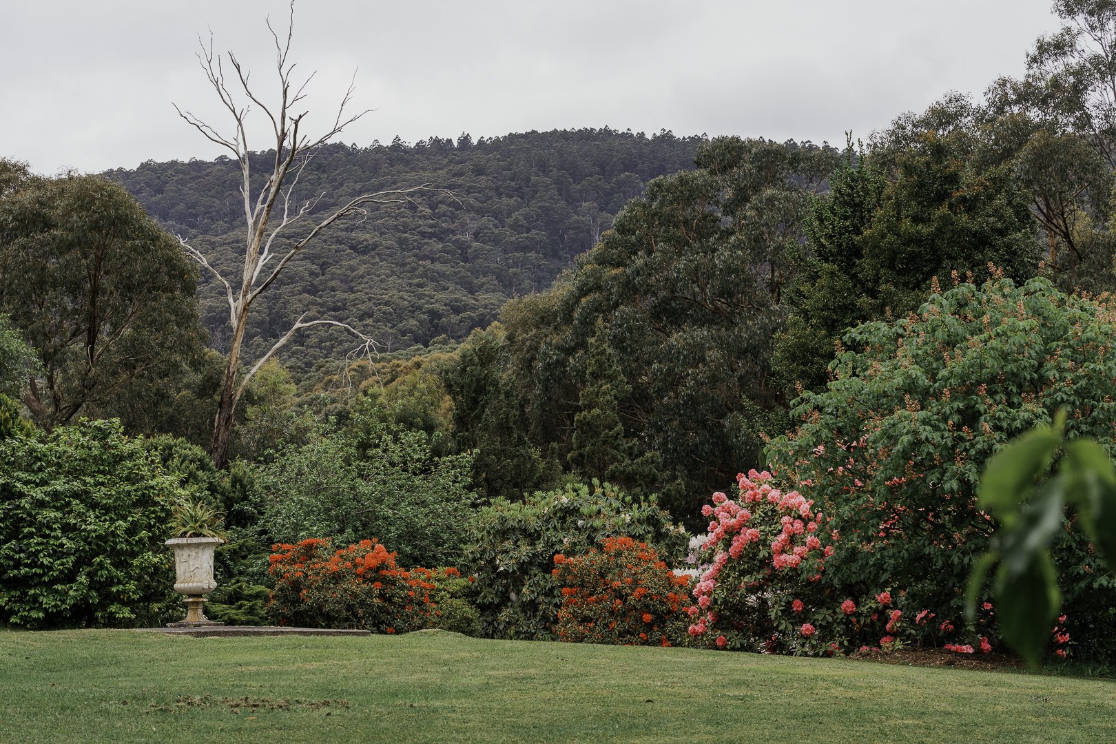 The Yarra Valley ridges from the garden