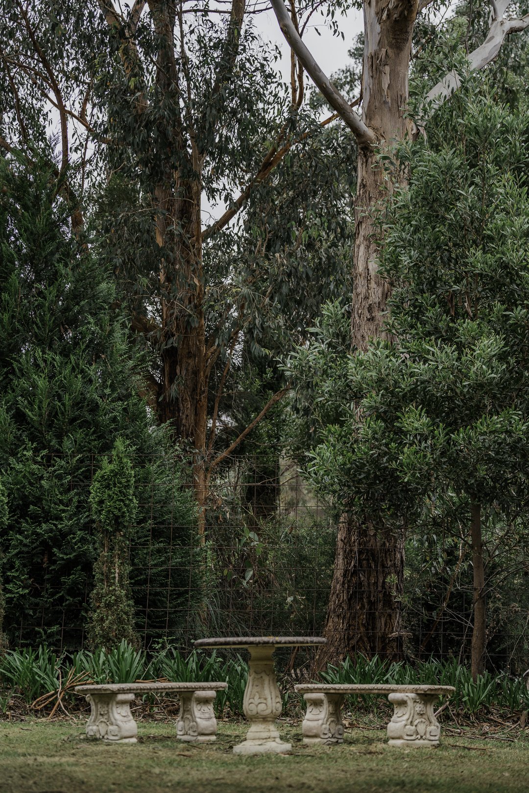 A stone bench under the eucalypts