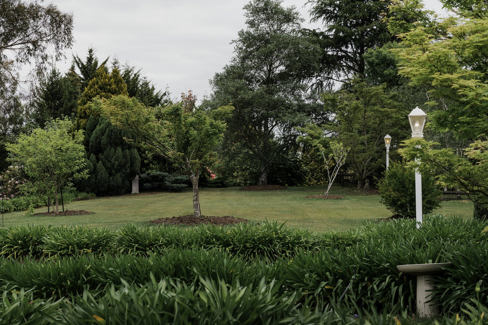 Late light over the garden